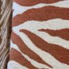 Bruine zebra sierkussen