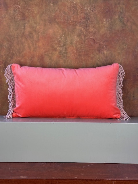 Bruine zebra sierkussen